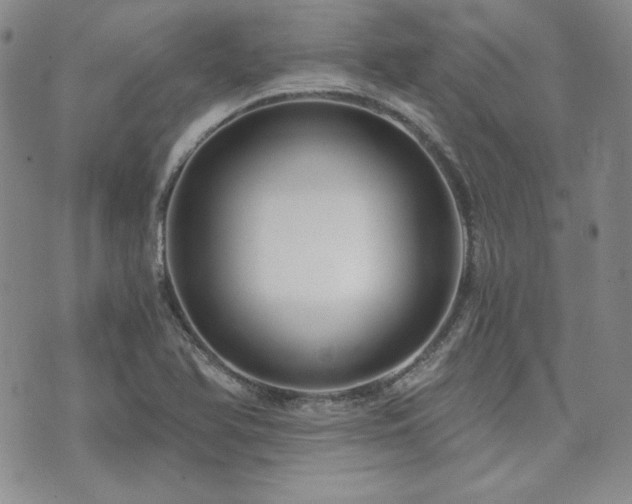 X0000073701366200608031204