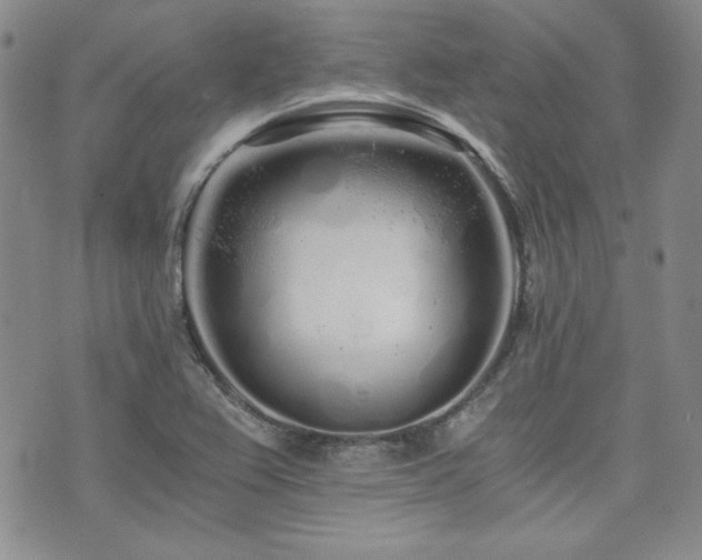 X0000073701367200608031204