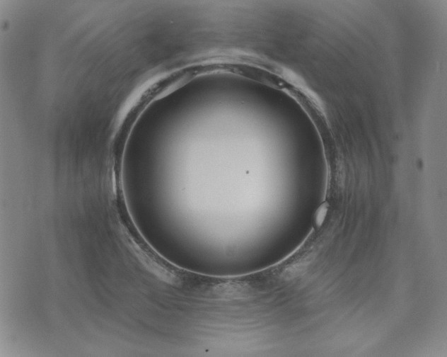 X0000073701368200608031204