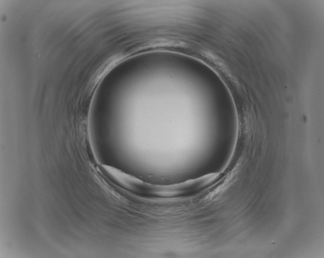 X0000073701369200608031204