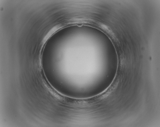 X0000073701370200608031204