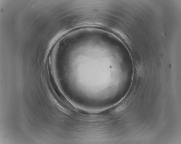 X0000073701371200608031204