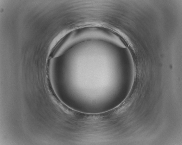 X0000073701373200608031204