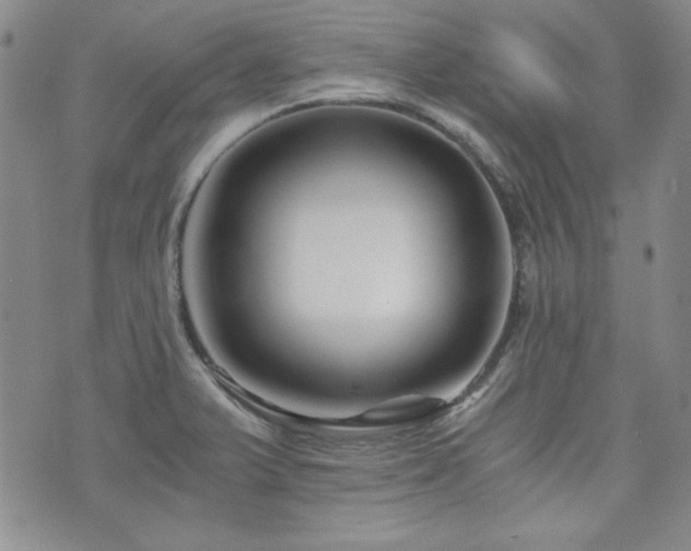 X0000073701375200608031204