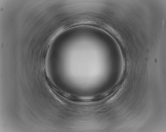 X0000073701377200608031204