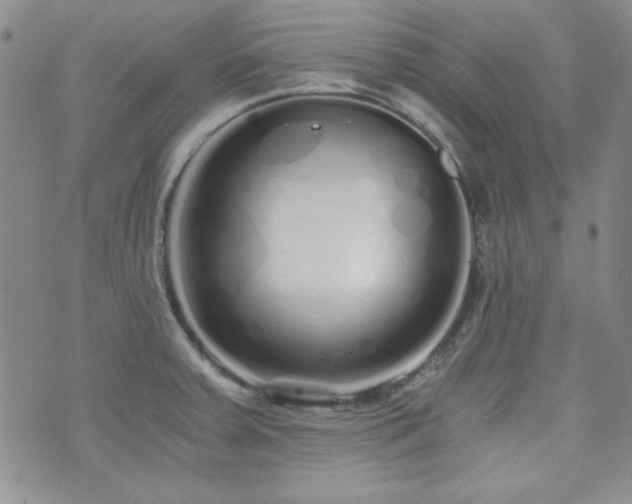 X0000073701379200608031204