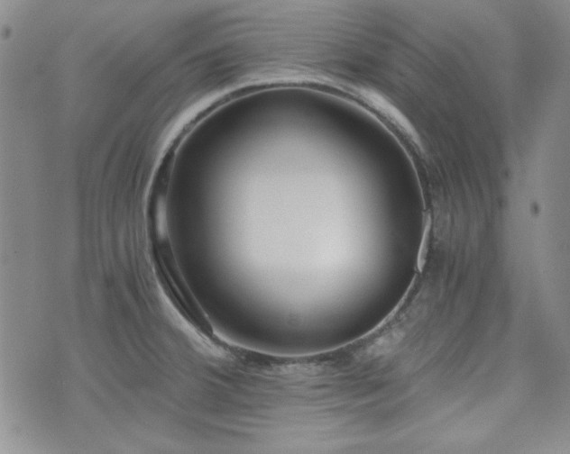 X0000073701380200608031204