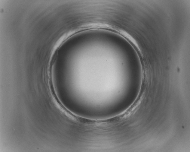 X0000073701381200608031204