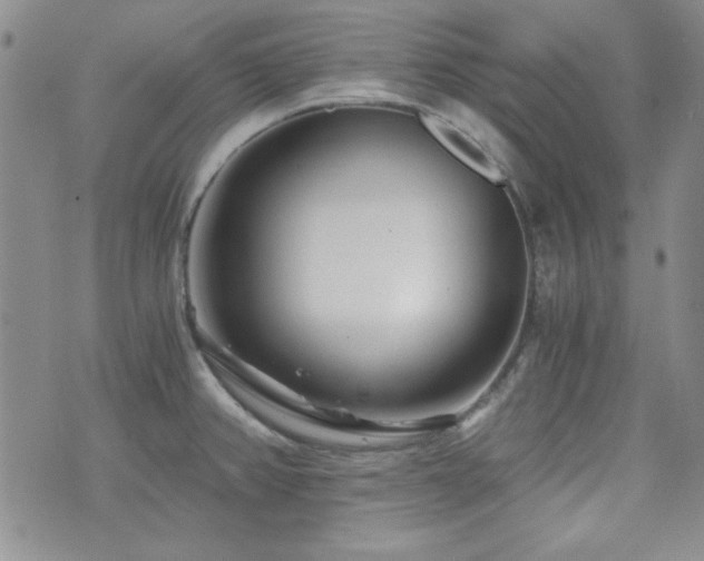 X0000073701382200608031204