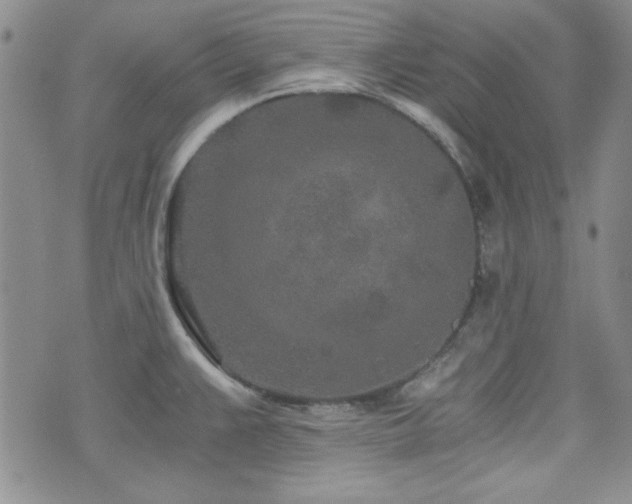 X0000073701383200608031204