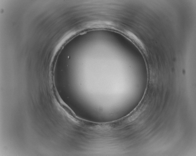 X0000073701384200608031204