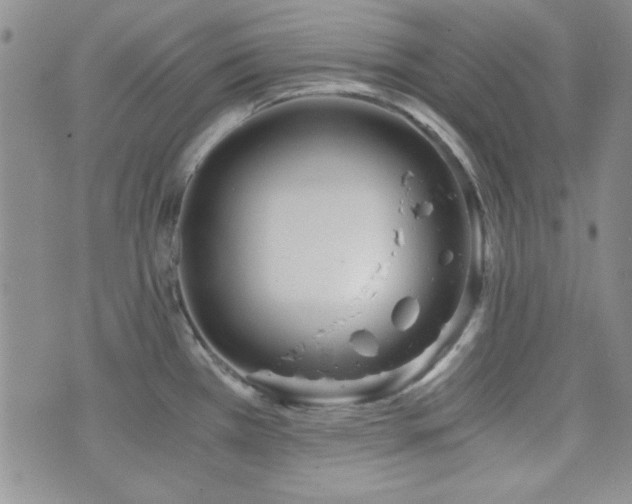 X0000073701385200608031203