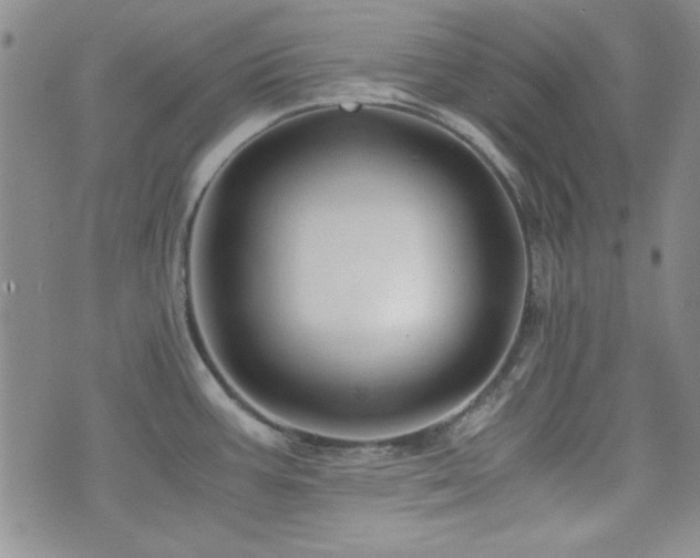 X0000073701387200608031203