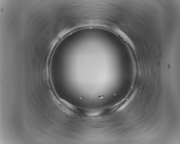 X0000073701388200608031203