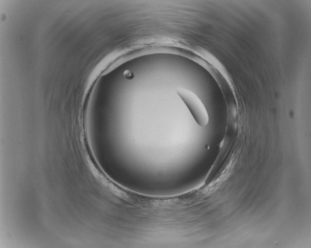 X0000073701389200608031203