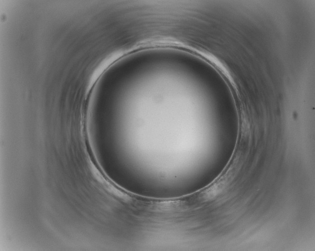 X0000073701390200608031203