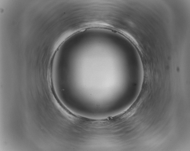 X0000073701391200608031203