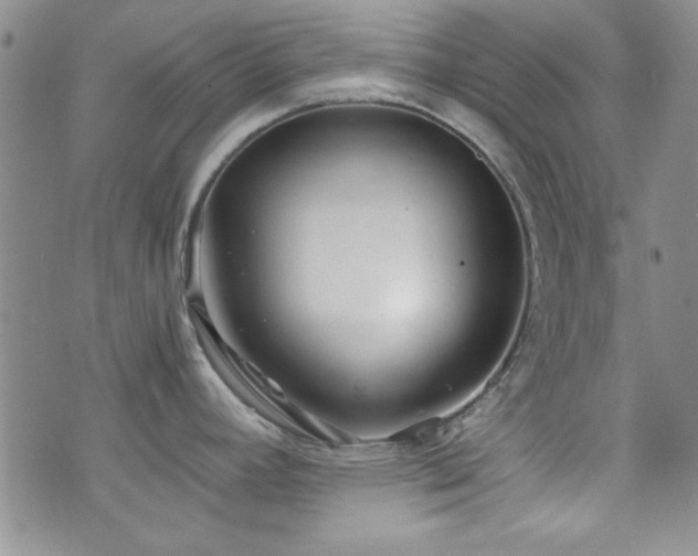 X0000073701392200608031203