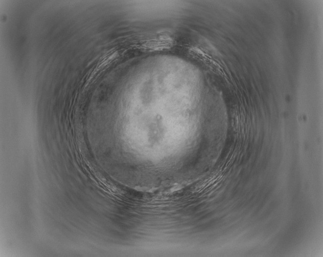 X0000073701393200608031203