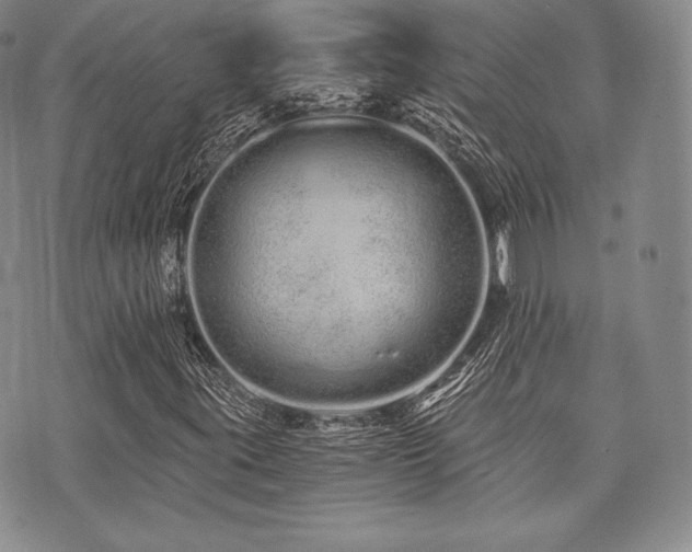 X0000073701395200608031203