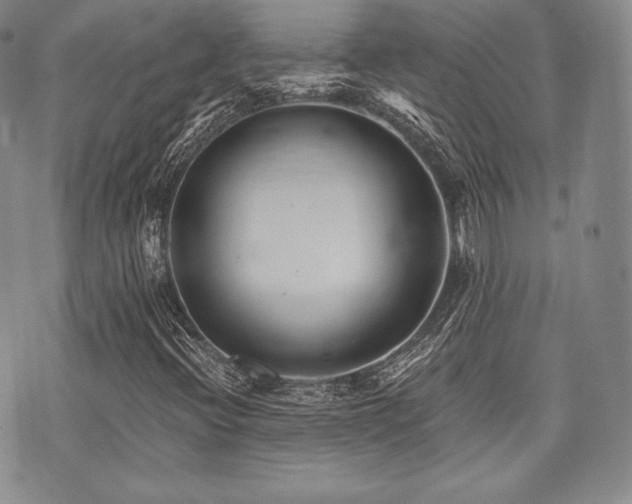 X0000073701396200608031203