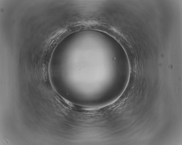 X0000073701398200608031203