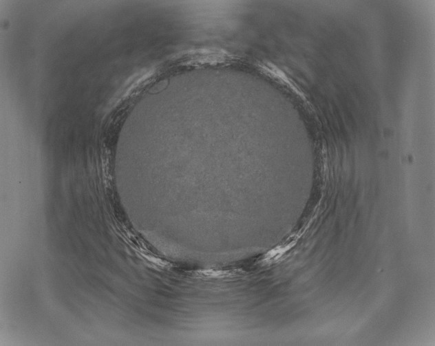 X0000073701399200608031203