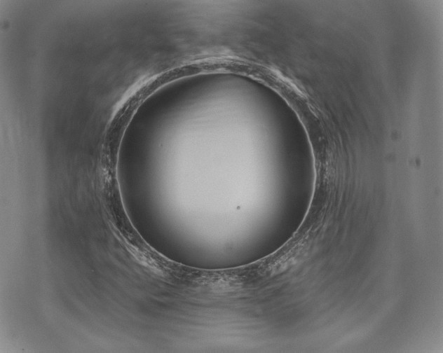 X0000073701400200608031203