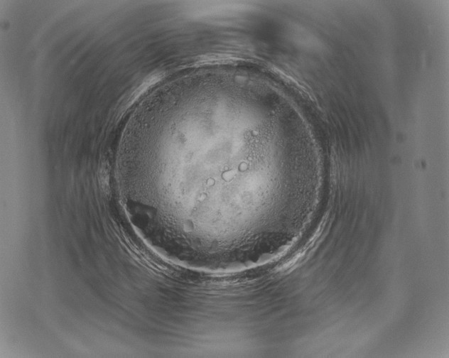 X0000073701401200608031203