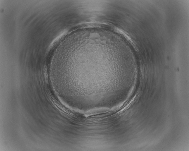 X0000073701403200608031203