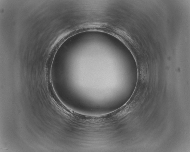 X0000073701404200608031203