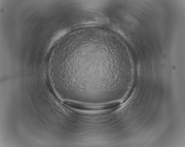 X0000073701405200608031203