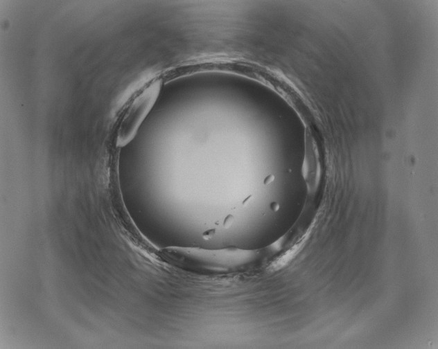 X0000073701406200608031203