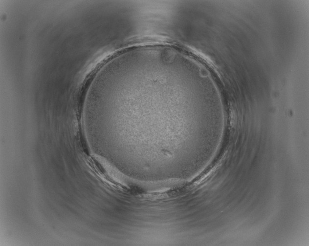 X0000073701407200608031203