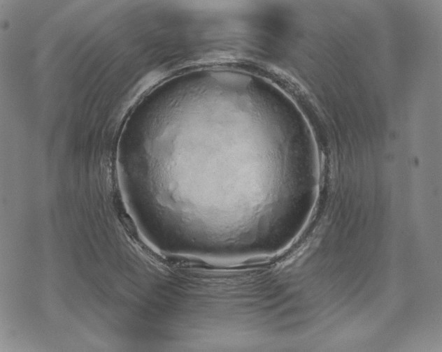 X0000073701409200608031203