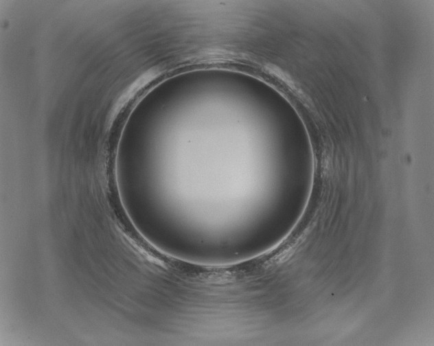 X0000073701410200608031203