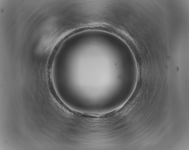 X0000073701412200608031203