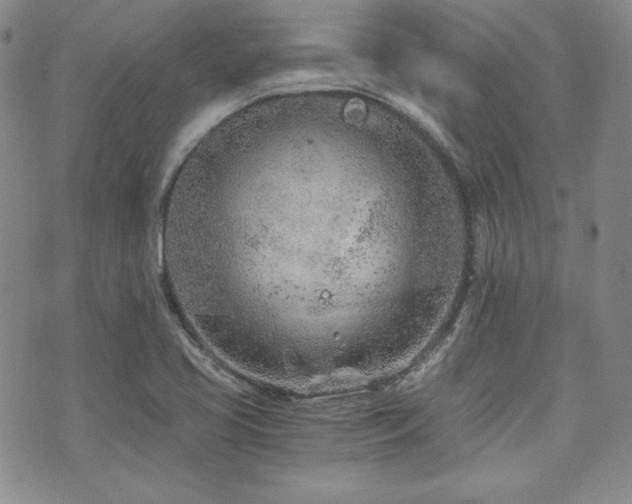 X0000073701413200608031203