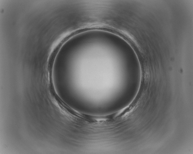 X0000073701414200608031203