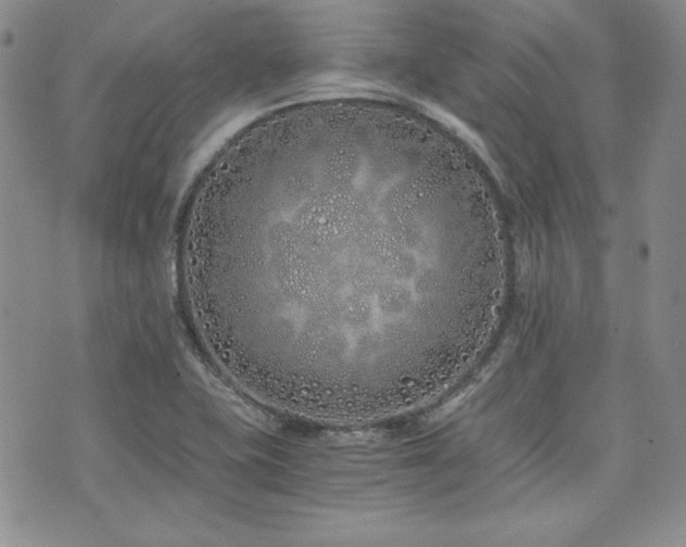 X0000073701415200608031203