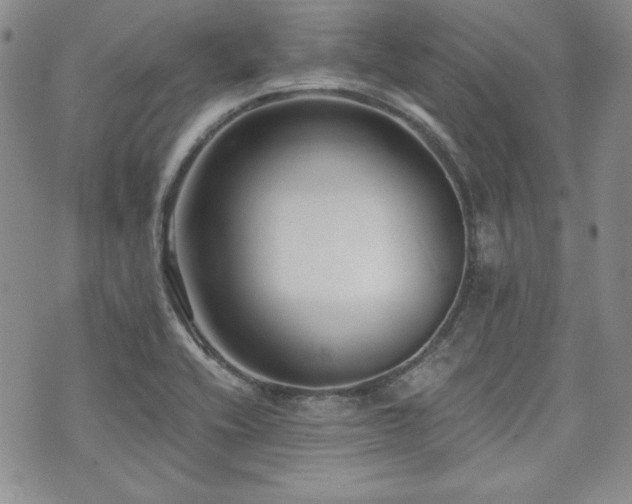 X0000073701416200608031203