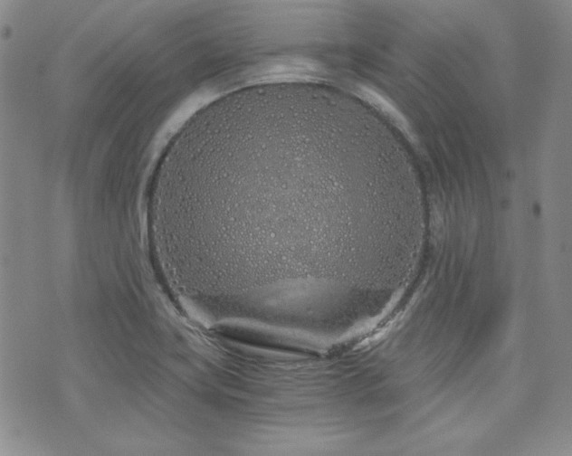 X0000073701419200608031203