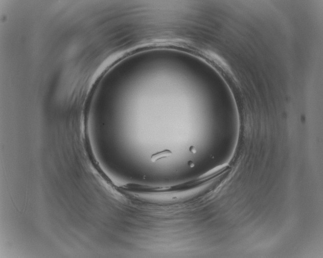 X0000073701420200608031203