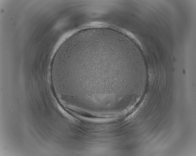 X0000073701421200608031203