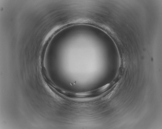 X0000073701422200608031203