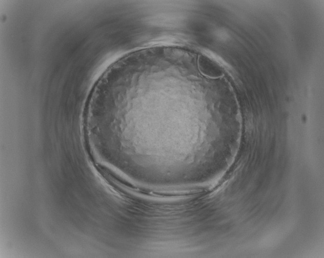 X0000073701423200608031203