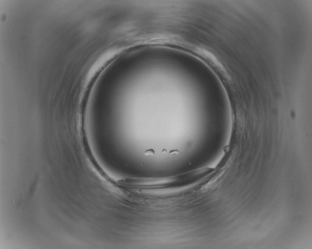 X0000073701424200608031203