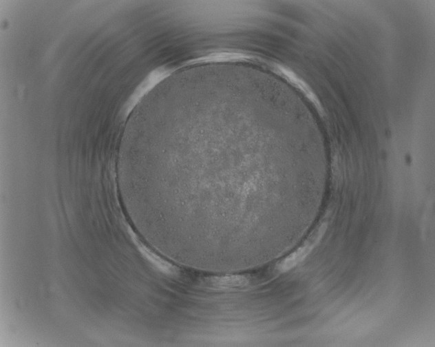 X0000073701425200608031203