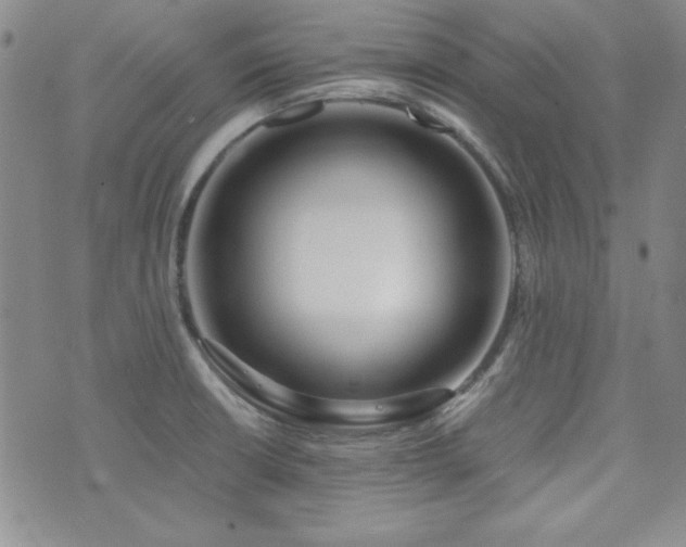 X0000073701426200608031203