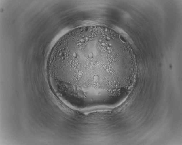 X0000073701427200608031203